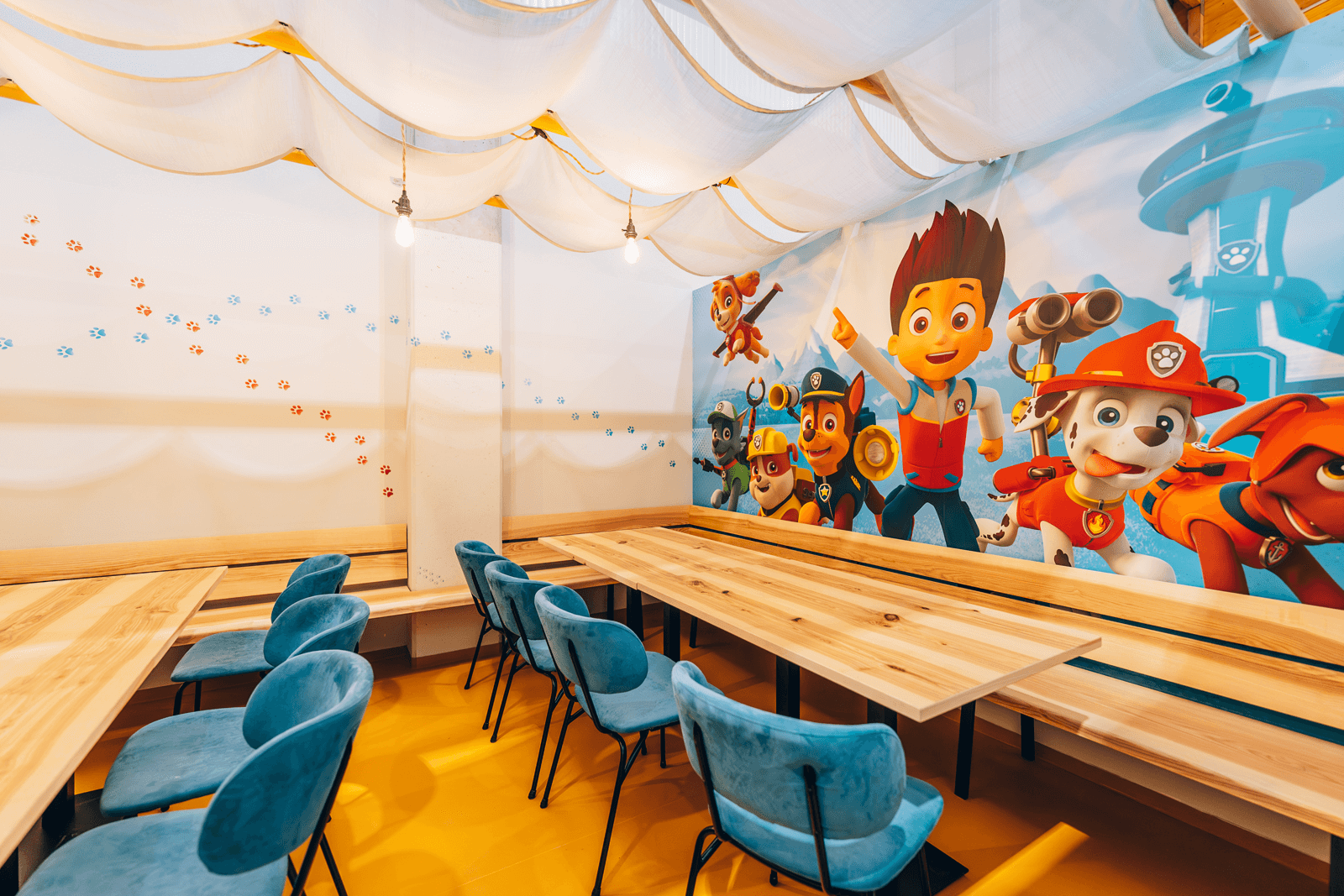 Paw-Patrol Welt